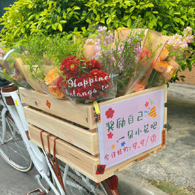 宠物注意知识